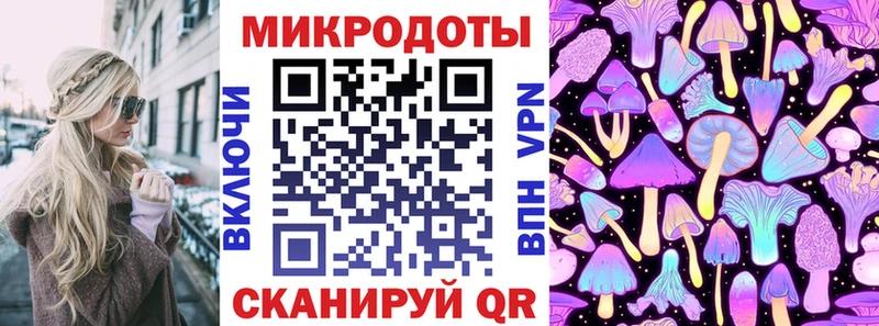 Галлюциногенные грибы Psilocybe  Котово 